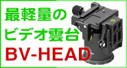 BV-HEAD